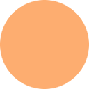 livecoins.com.br logo